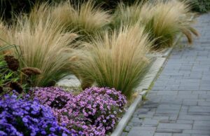 graeser-garten