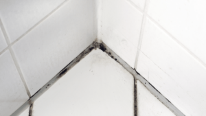 Schimmel aus Silikonfugen entfernen